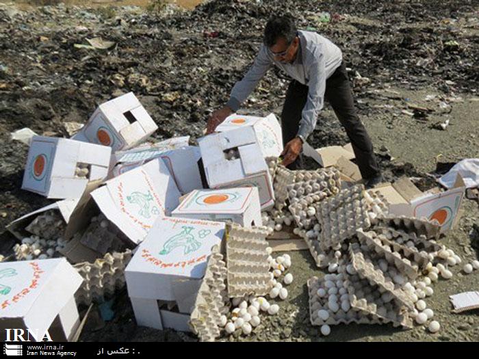 170 کیلوگرم تخم مرغ فاسد در رودان معدوم شد