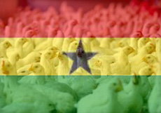 صنعت مرغداری و دامپروری در کشور غنا