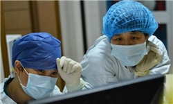 آنفلوانزای مرغی منجر به مرگ ۳۹ نفر در چین شد