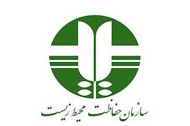 مرکز تحقیقات و مطالعات میش مرغ در بوکان راه‌اندازی می‌شود