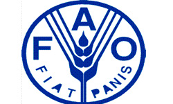 کاهش تولید گوشت مرغ در آمریکا به دلیل افزایش قیمت خوراک