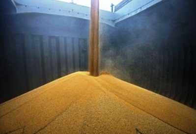 خوراک دام و طیور فعلا باهمان نرخ قبلی توزیع می‌شود