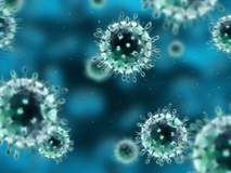 تولید نسخه‌های مرگبارتر ویروس آنفلوآنزای پرندگان H7N9 در آزمایشگاه