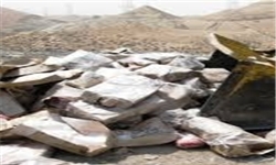 معدوم‌سازی 214 کیلوگرم آلایش خوراکی مرغ در جیرفت