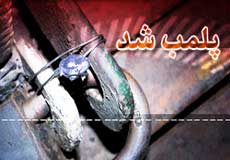 10 واحد فروش غیرمجاز مرغ در دره شهر پلمپ شد