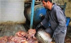 کشف محموله گوشت و مرغ غیرمجاز در آبیک