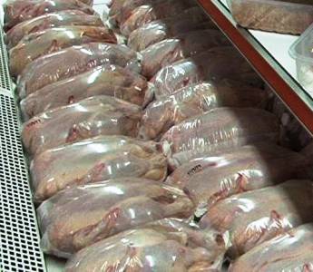 تولید مرغ روسی افزایش می‌یابد