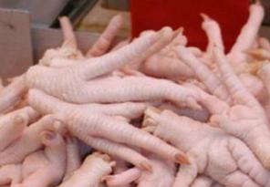 598 تن پای مرغ از زنجان به ویتنام صادر شد