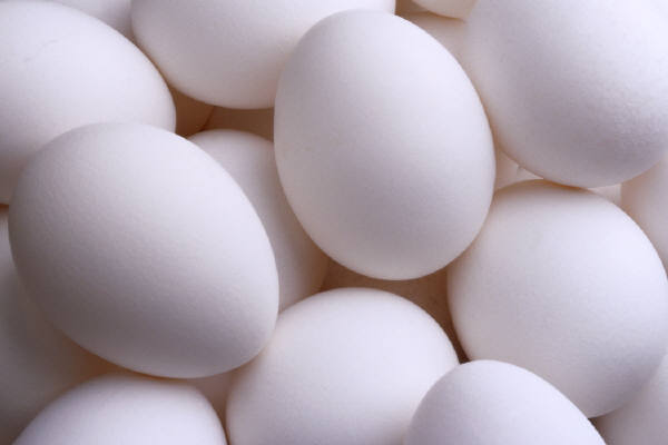 افزایش ۴۰۰ تومانی تخم‌مرغ در آینده نزدیک