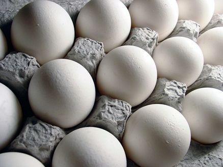 تثبیت قیمت سالانه تخم‌مرغ مشروط به اختصاص یارانه غیرنقدی