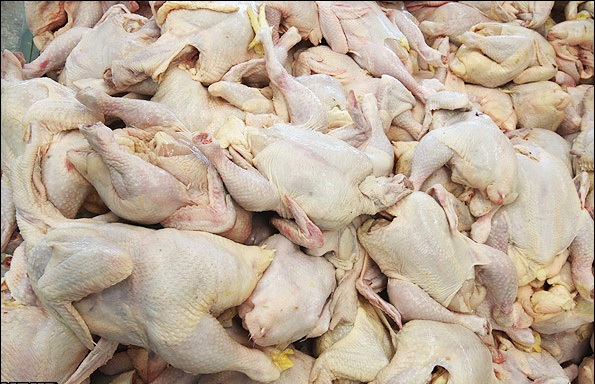 امحاء حدود هشت تن مرغ فاسد در مهاباد