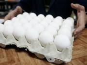 قیمت واقعی هر شانه تخم مرغ هشت هزار و ۵۰۰ تومان است