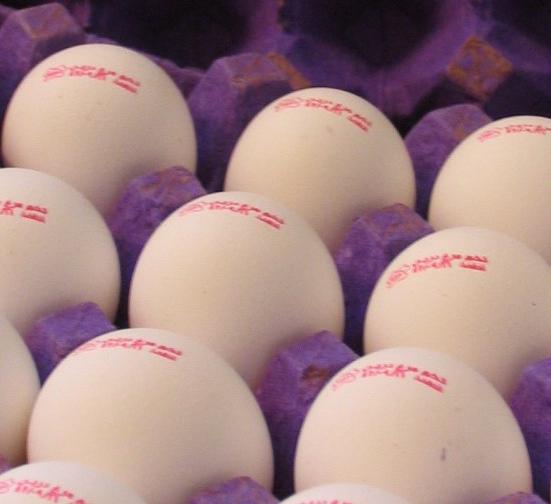 کلاهبرداری از طریق حک کردن مشخصات دروغ روی هر دانه تخم‌مرغ