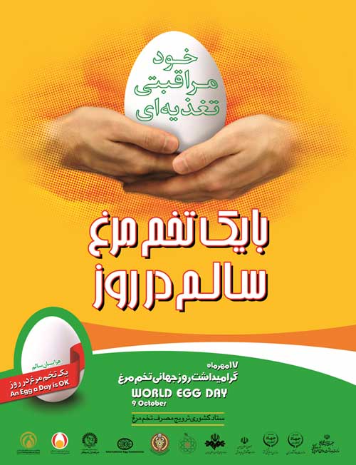 17 مهر، روز جهانی تخم مرغ نامگذاری شد/ گام های سازمان دامپزشکی برای تولید تخم مرغ بهداشتی