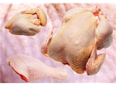 ردپای سرب در گوشت مرغ
