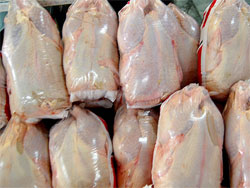 یکهزار و 118 تن مرغ منجمد در بازار خراسان رضوی توزیع شد
