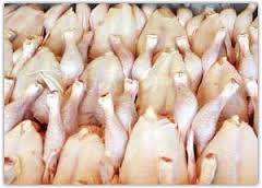 کاهش قیمت مرغ، افزایش قیمت ماهی