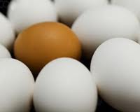 مصرف چند عدد تخم مرغ در روز مجاز است ؟