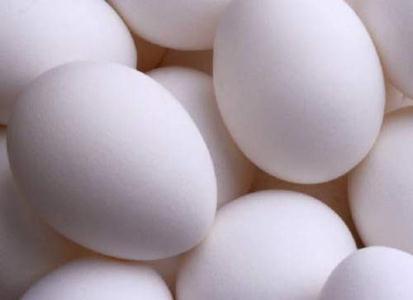 تخم مرغ رایگان در مدارس مناطق محروم قم توزیع می‌شود