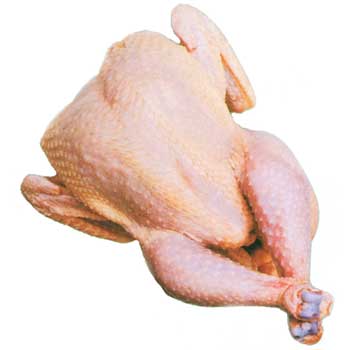مرغ هورمونی در ایران تولید نمی‌شود/ دامپزشکی نظارت جامع بر تولید مرغ دارد