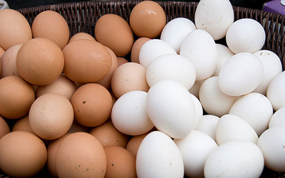 دستفروشان تخم مرغ در قزوین جمع آوری شدند