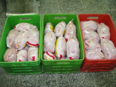 توزیع مرغ منجمد در چهارمحال وبختیاری آغاز شد