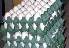 کشف تخم مرغ غير قابل مصرف