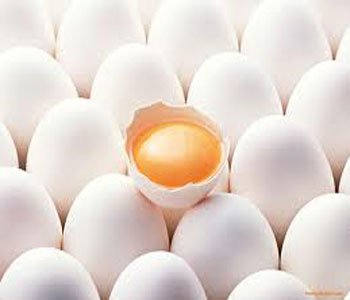 با خوردن تخم‌مرغ چه اتفاقی برای بدن می‌افتد؟