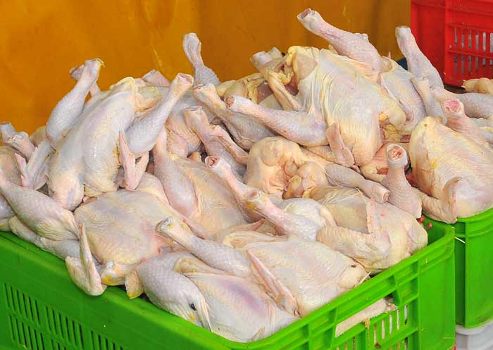 قیمت هر کیلوگرم مرغ کمتر از ۷۵۰۰ تومان برای تولیدکننده سودی ندارد