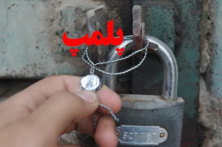 پلمپ 30 واحد عرضه غیر مجاز مرغ زنده در یرانشهر