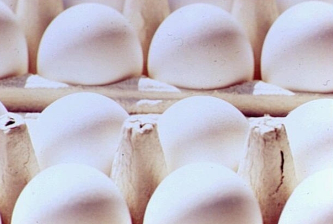 بحران تخم مرغهای آلوده از اروپا به آسیا رسید