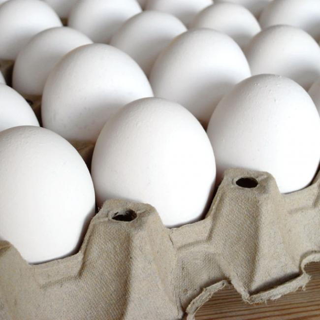 تولید تخم مرغ در استان همدان ۳۰ درصد افزایش یافته است