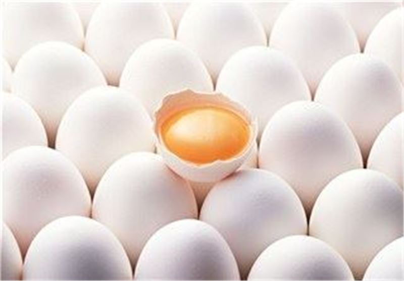 استان کرمانشاه ۹۰۰۰ تن تخم‌مرغ کمتر از نیاز استان تولید می‌کند
