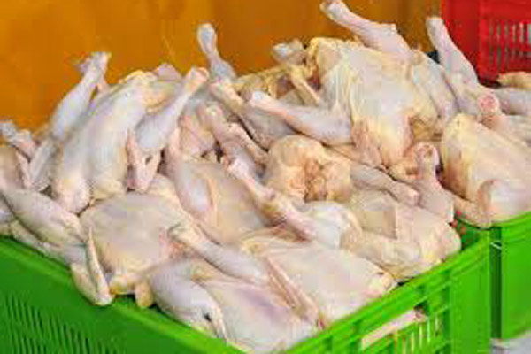 ۱۳۰۰ تن گوشت مرغ وارد بازار مصرف خرم‌آباد می‌شود