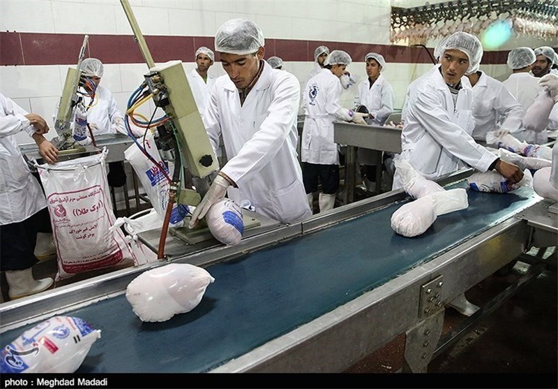 سنندج|هیچ‌گونه محدودیتی در توزیع مرغ منجمد و گوشت قرمز در کردستان نداریم
