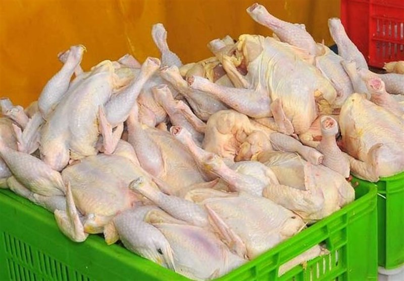 ذخیره کالاهای ضروری بازار/ روزانه بالغ بر ۳۰ تن مرغ منجمد در استان توزیع می شود
