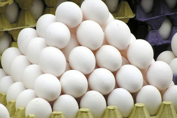 توزیع ۸۲۰ تن تخم مرغ با نرخ تعاونی در اصفهان