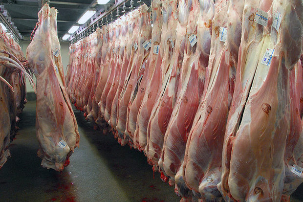 عرضه روزانه ۱۰۰تن گوشت گوسفندی در تهران/با گرانفروشان برخورد کنید